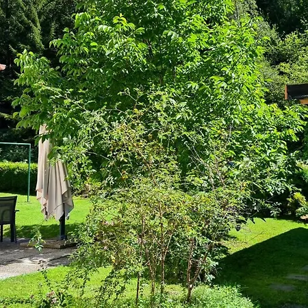 Chalet Amthumersbach *
