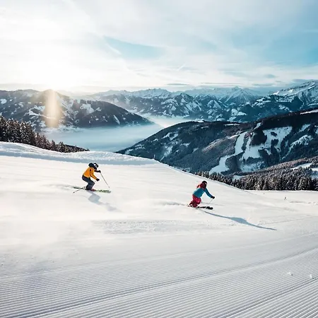 Amthumersbach Alpstuga *